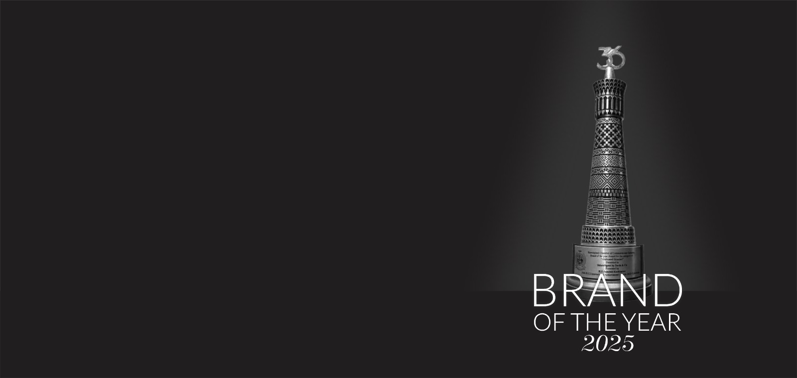 Skintelligent by Davis & Co, Brand of the Year 2025 award trophy